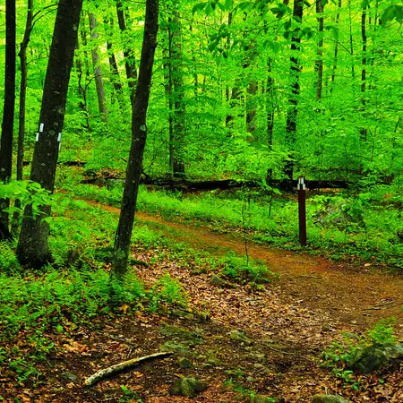 Stephens State Park